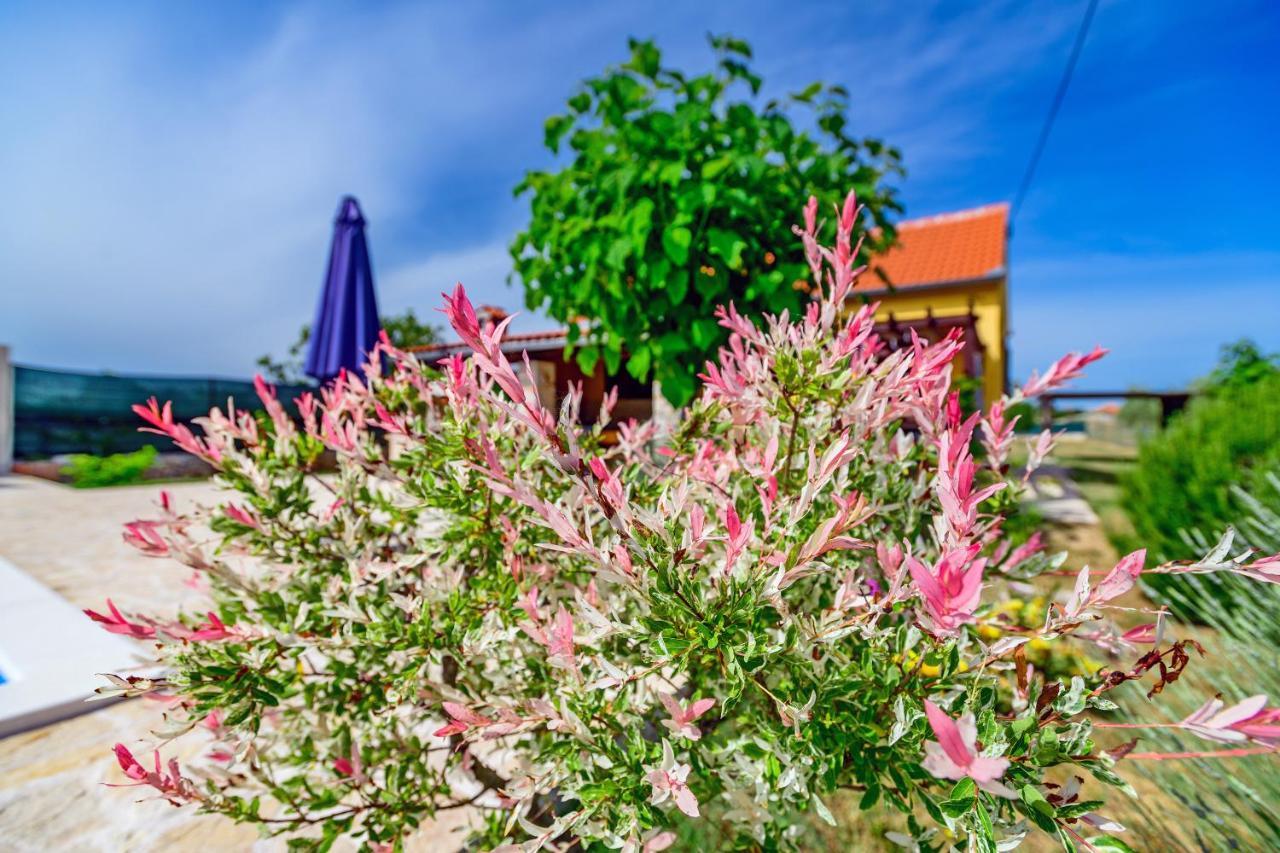 Villa Sunny House Smokovic Exterior foto