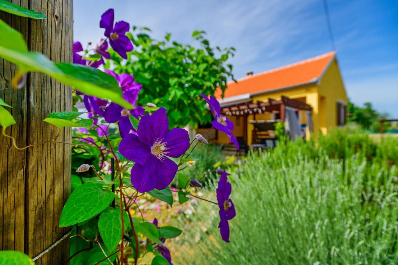 Villa Sunny House Smokovic Exterior foto