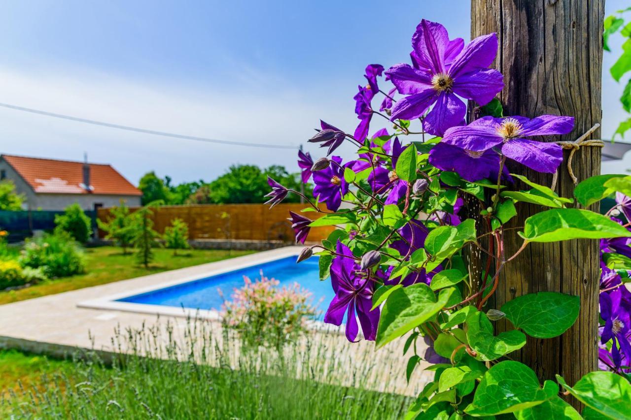 Villa Sunny House Smokovic Exterior foto
