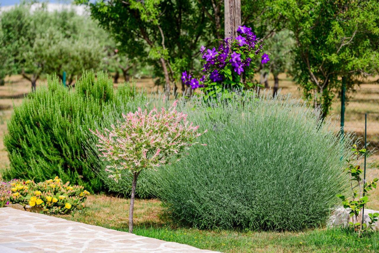 Villa Sunny House Smokovic Exterior foto