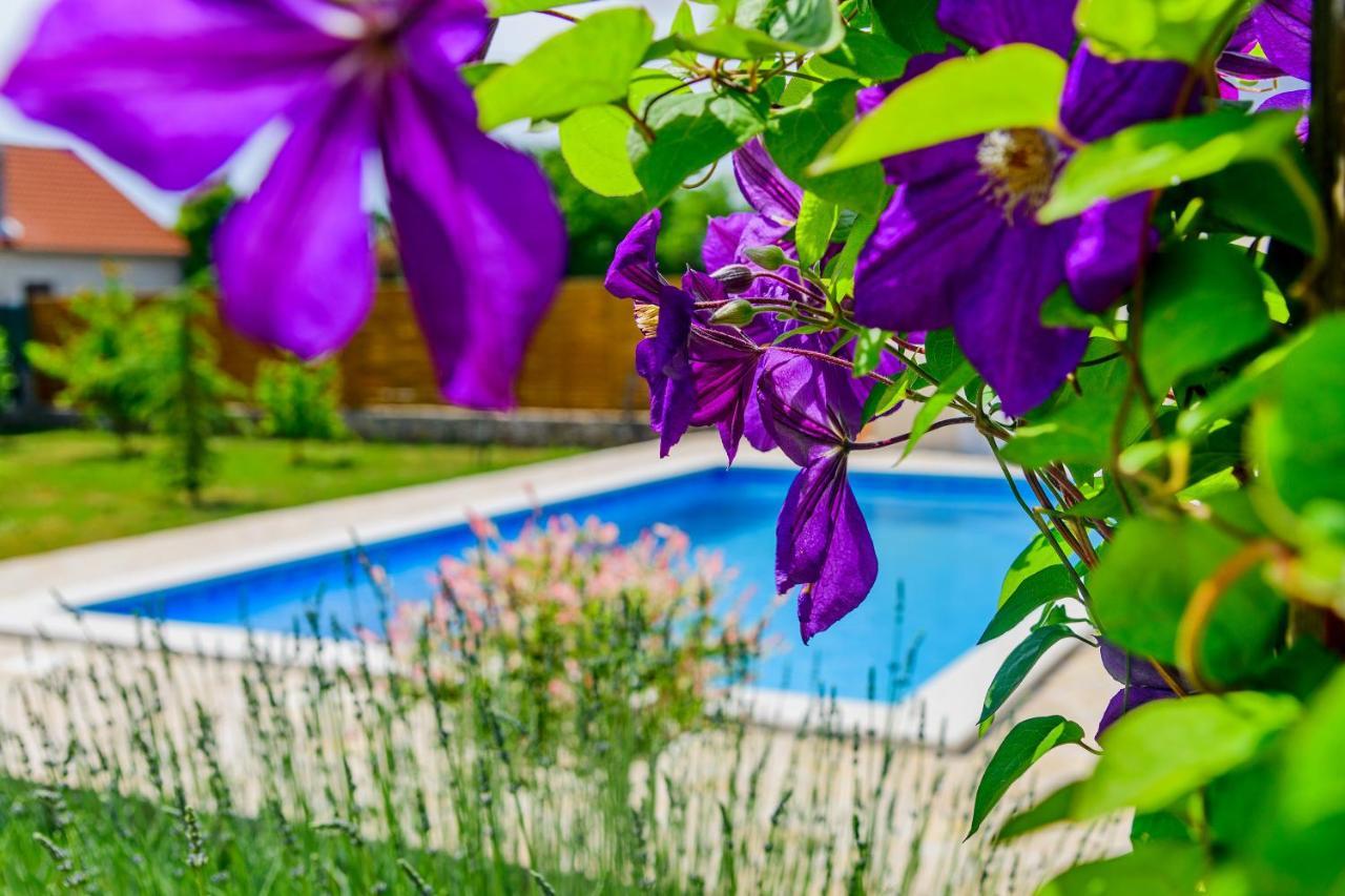 Villa Sunny House Smokovic Exterior foto
